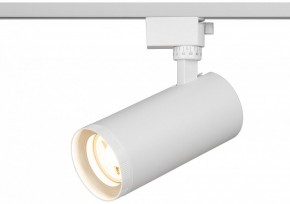 Светильник на штанге Эра  TR59 - 3030 WH в Ревде - revda.ok-mebel.com | фото 5