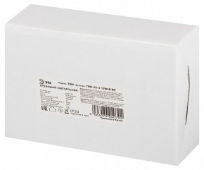 Светильник на штанге Эра  TRM-S5-3-12W4K-BK в Ревде - revda.ok-mebel.com | фото 8