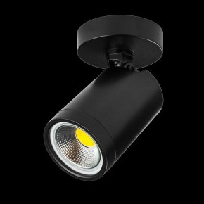 Светильник на штанге Lightstar Rullo 213407 в Ревде - revda.ok-mebel.com | фото 2
