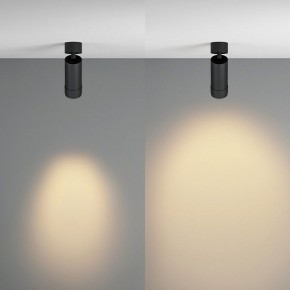 Светильник на штанге Maytoni Focus Zoom C055CL-L12W2.7K-Z-B в Ревде - revda.ok-mebel.com | фото 3