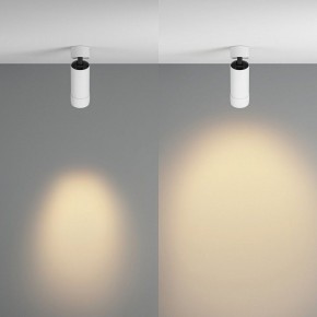 Светильник на штанге Maytoni Focus Zoom C055CL-L12W2.7K-Z-W в Ревде - revda.ok-mebel.com | фото 3