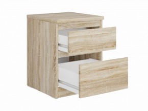 Тумба КАСТОР малая с двумя ящиками, цвет Дуб Сонома в Ревде - revda.ok-mebel.com | фото 2