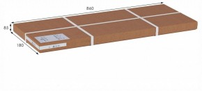 Вешалка гардеробная Стойка высокая в Ревде - revda.ok-mebel.com | фото 9