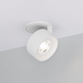 Встраиваемый светильник на штанге Arlight PLURIO 037972 в Ревде - revda.ok-mebel.com | фото
