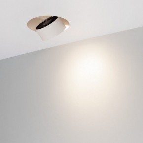 Встраиваемый светильник на штанге Arlight PLURIO 038065 в Ревде - revda.ok-mebel.com | фото 2