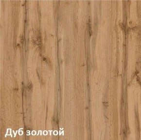 Вуди Шкаф для одежды 13.138 в Ревде - revda.ok-mebel.com | фото 4